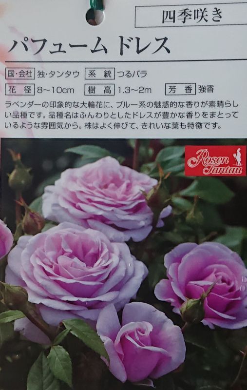 パフュームドレス