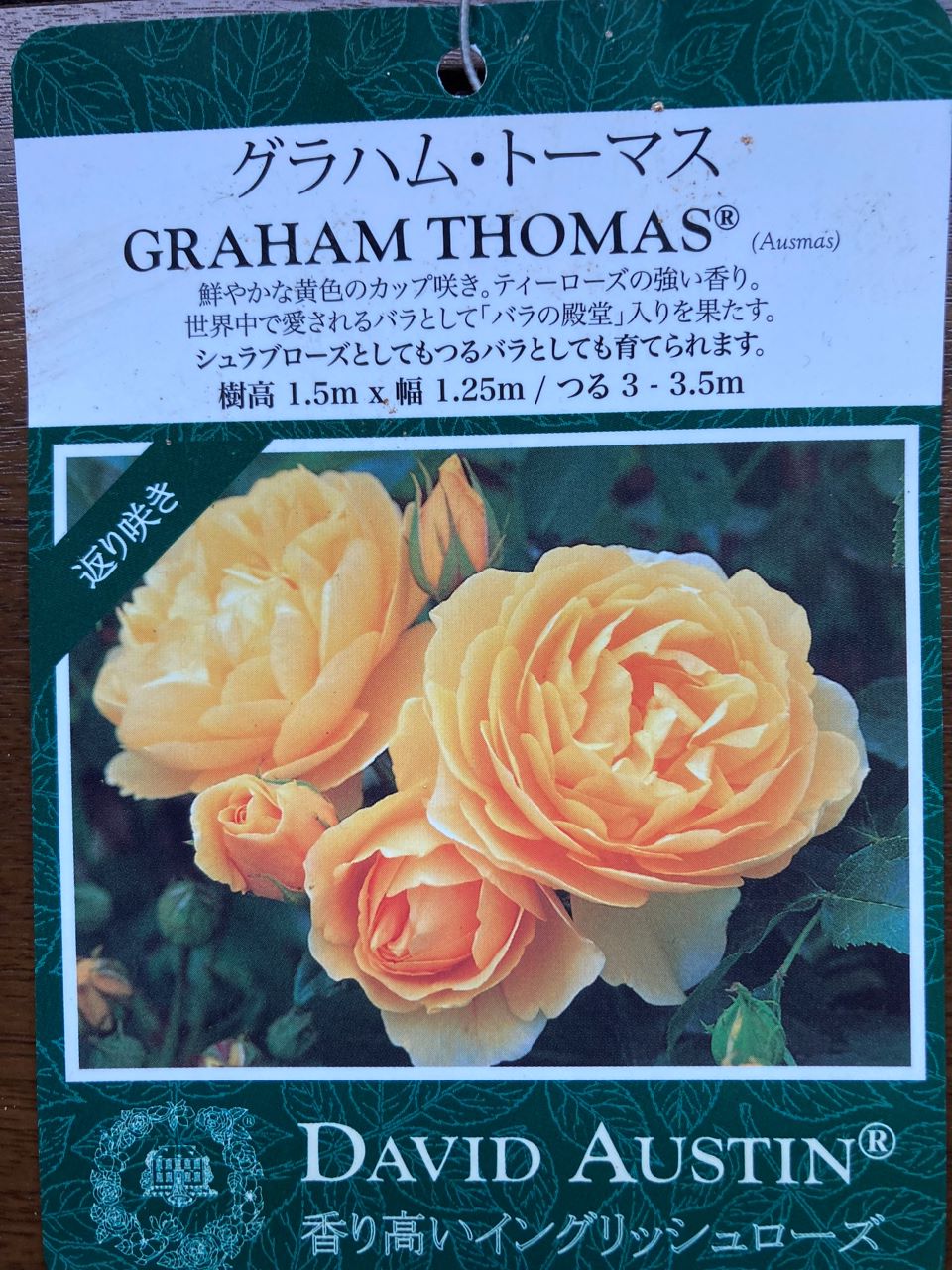 グラハム・トーマス