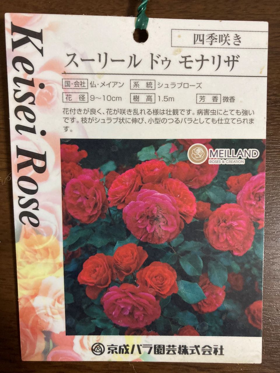 スーリールドゥモナリザ