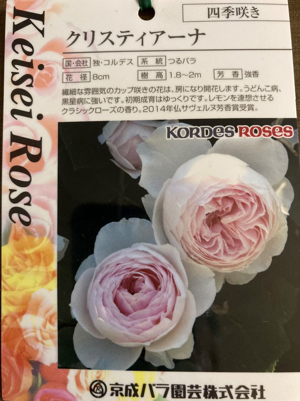 クリスティアーナ