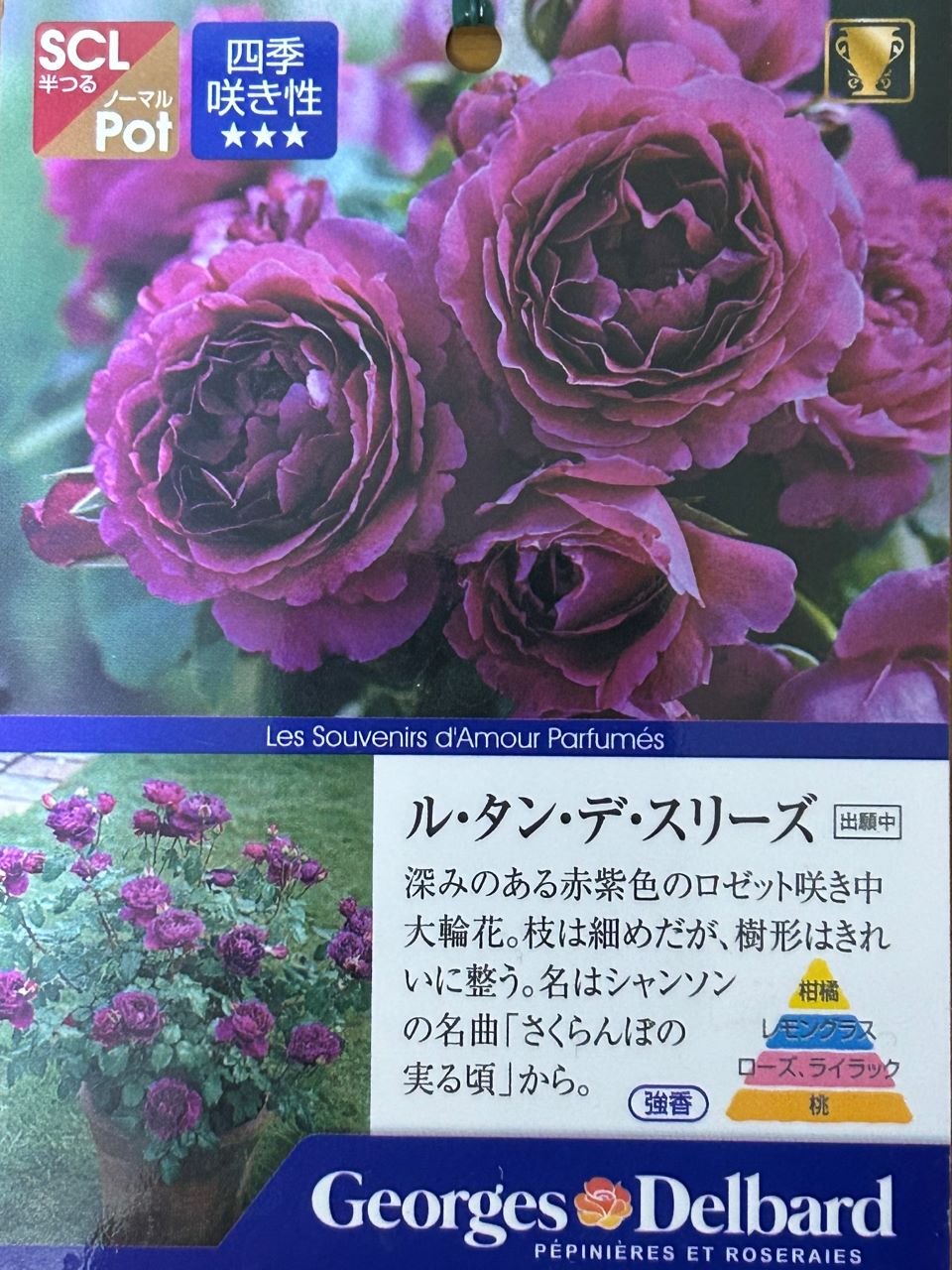 ル・タン・デ・スリーズ