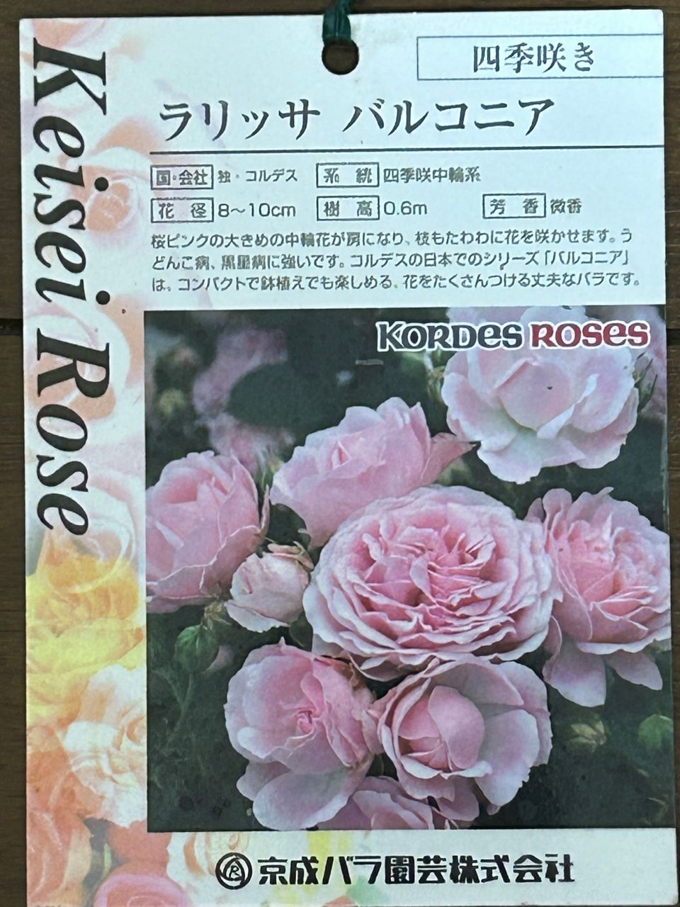 ラリッサ バルコニア