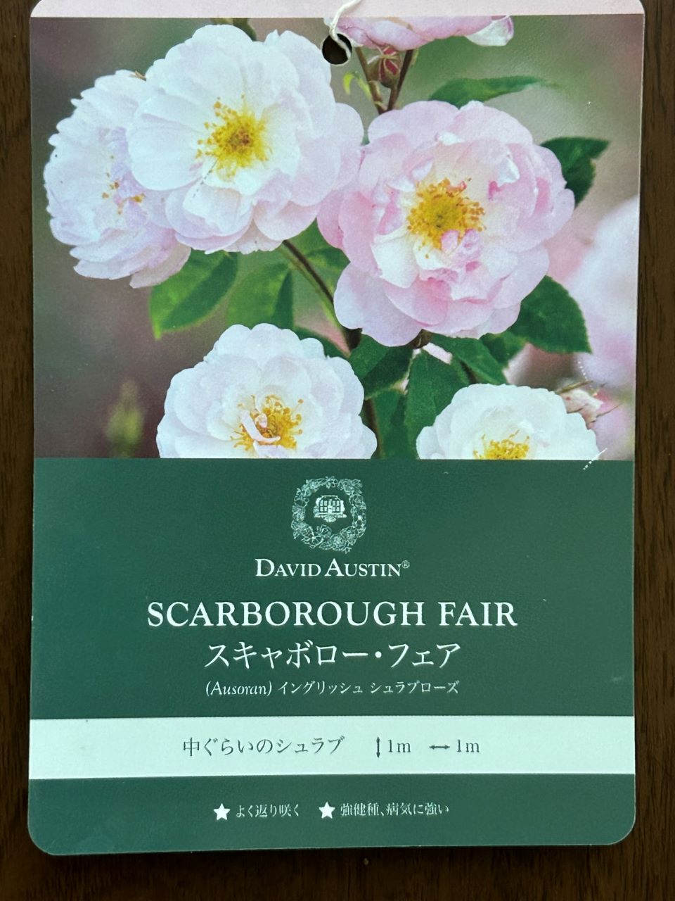 スキャボローフェア