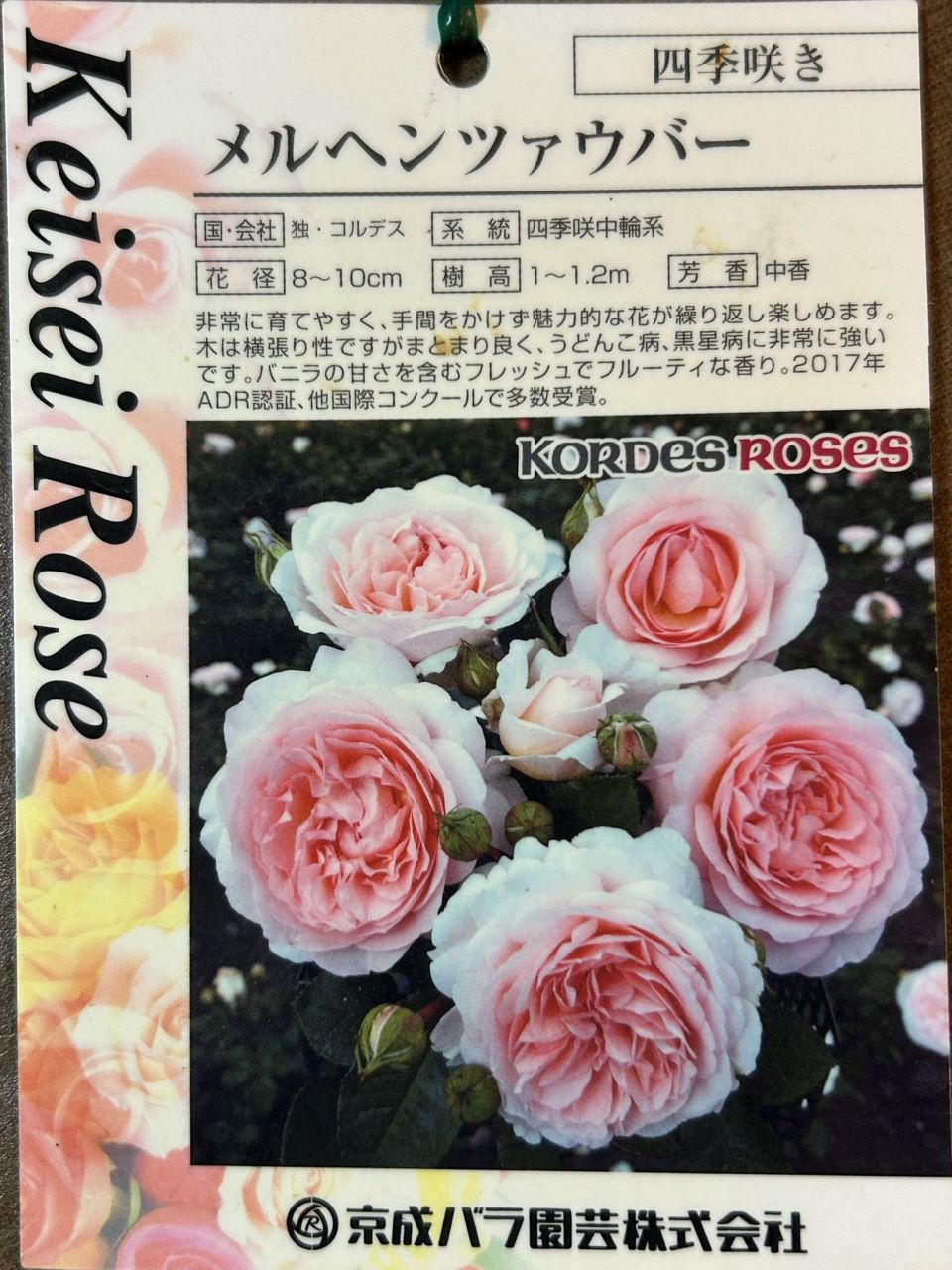 メルヘンツァウバー