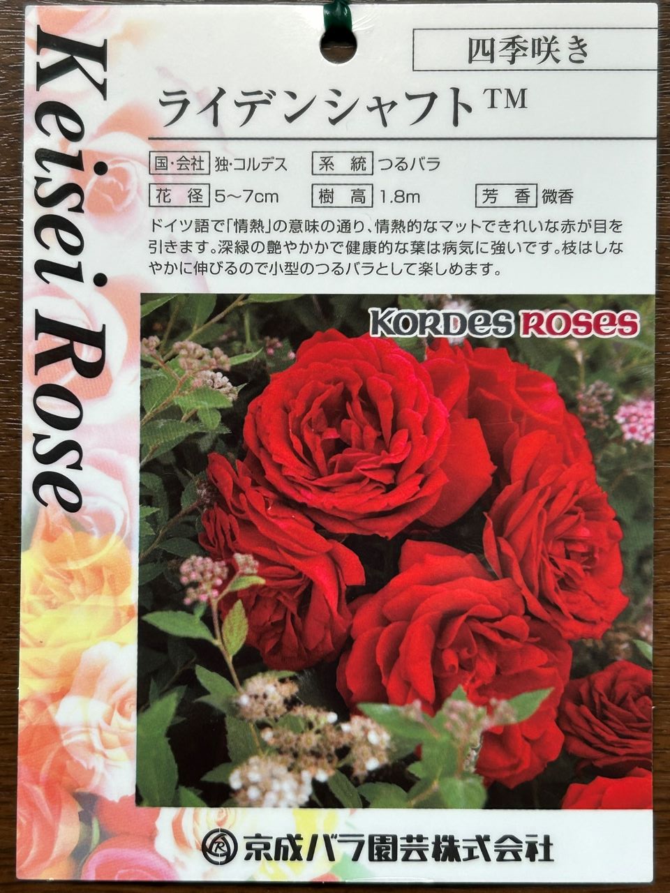 ライデンシャフト