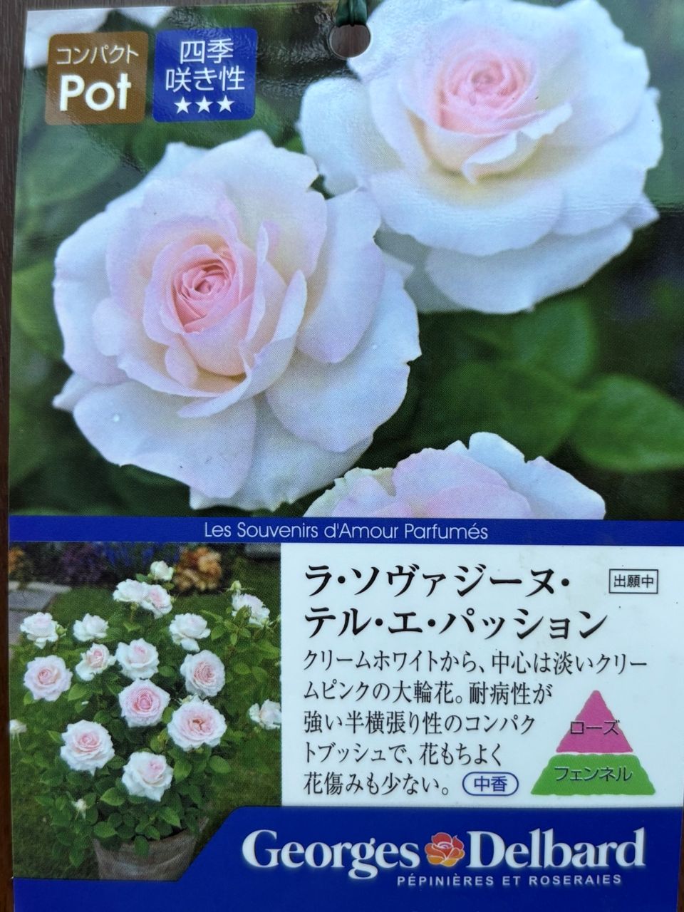 ラ・ソヴァジーヌ・テル・エ・パッション