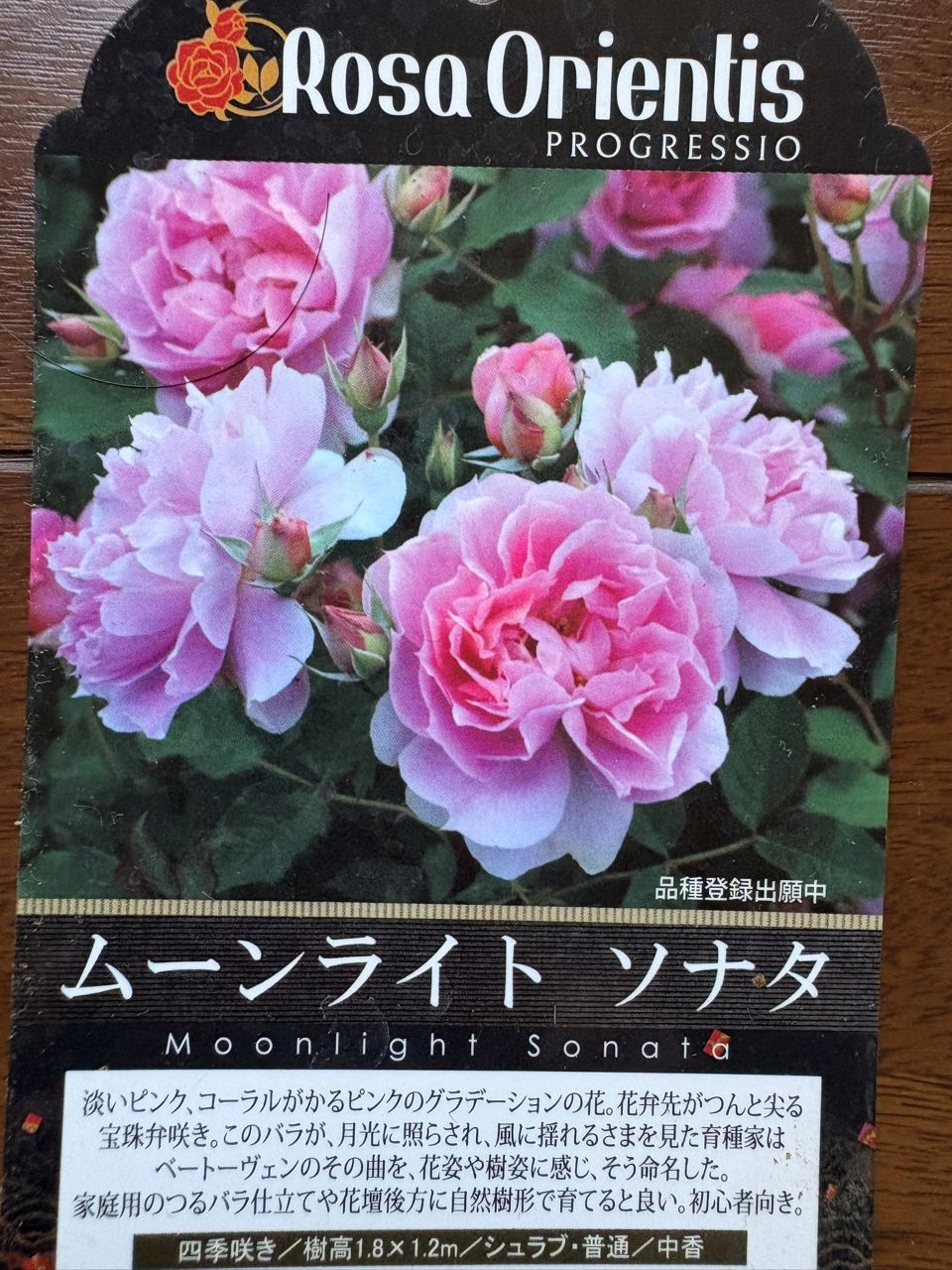 ムーンライトソナタ